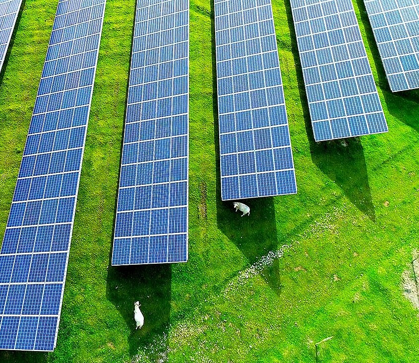 Solar farm WKN Italia